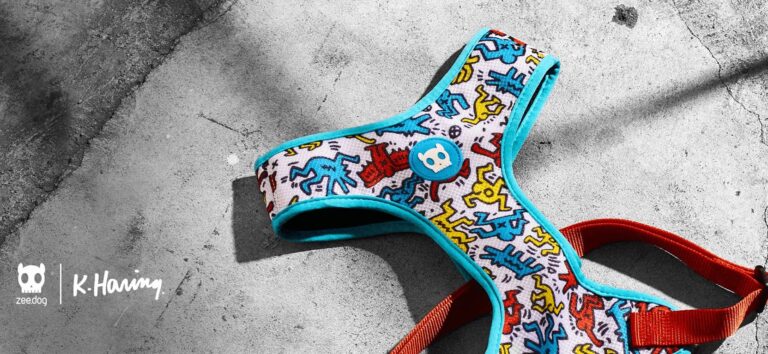 Zee.Dog apresenta coleção inspirada nas artes de Keith Haring