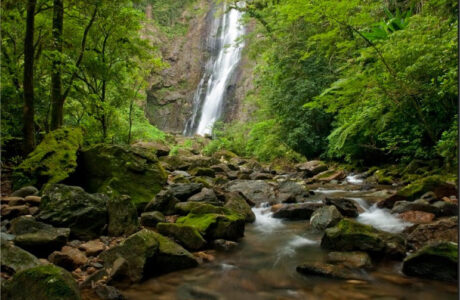 Foto Reserva Natural de Salto Morato, protegida pela Fundação Grupo Boticário Crédito José Paiva