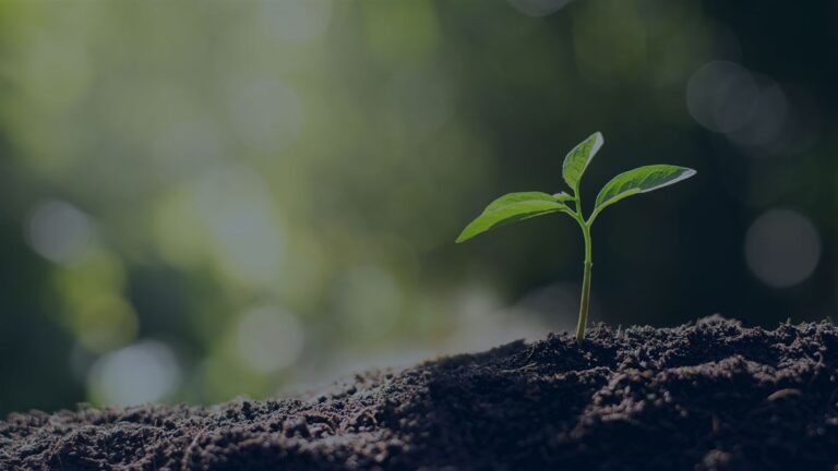 sustentabilidade