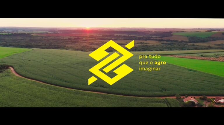 BB_Agro_06