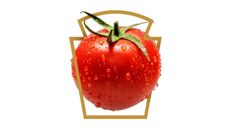 PrimeiroTomate_1