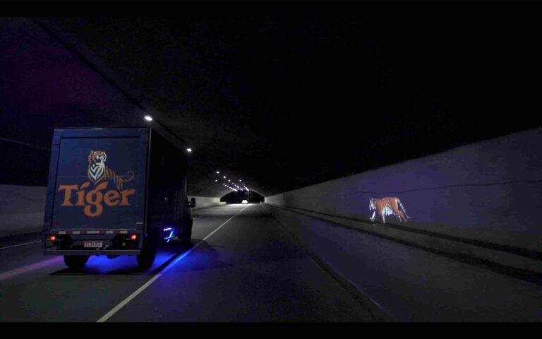 tiger-