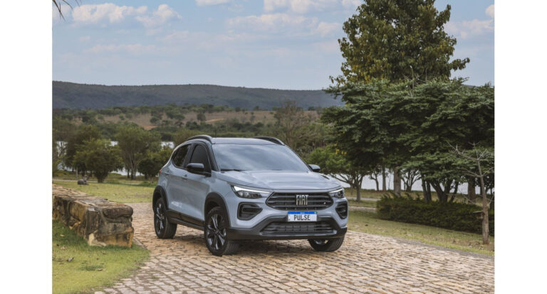 fiat-pulse