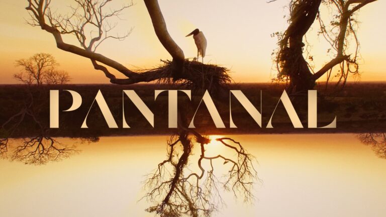 PANTANAL_logofundo (1)