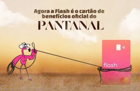 flash_pantanal