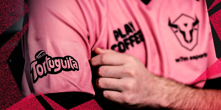 tortuguita_gamer