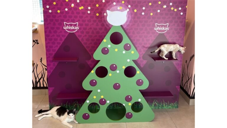 WHISKAS® promove NatalMiau em São Paulo