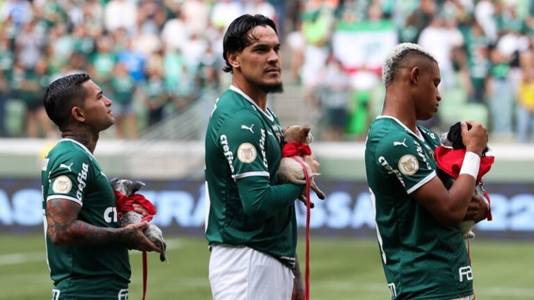 Palmeiras e Mars Petcare se unem no combate ao abandono e maus-tratos de animais
