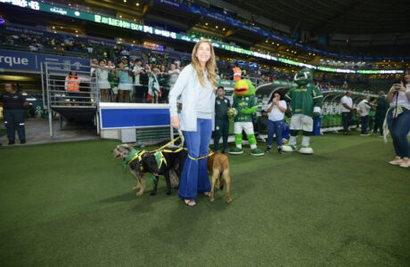 Palmeiras e Mars promovem ação em favor da adoção de animais em jogo no Allianz Parque