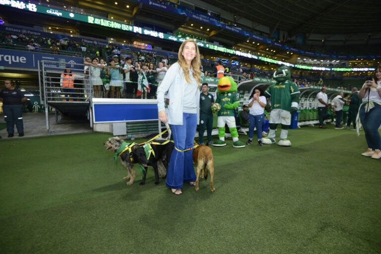 Palmeiras e Mars promovem ação em favor da adoção de animais em jogo no Allianz Parque