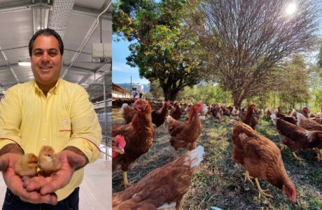 leandro-fazenda mantiqueira