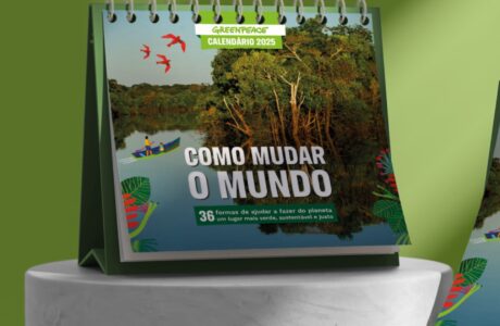 Campanha Como Mudar O Mundo do Greenpeace Brasil oferece calendário exclusivo da MOL Impacto