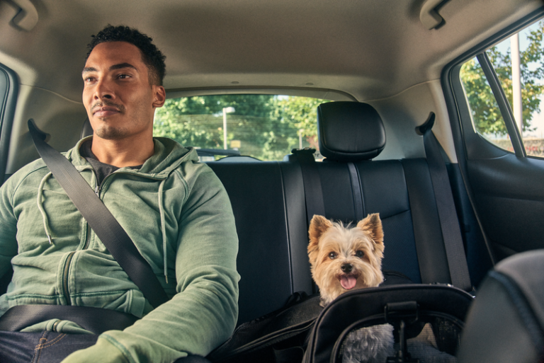 Uber Pet se expande para mais cidades brasileiras, facilitando o transporte de animais de estimação