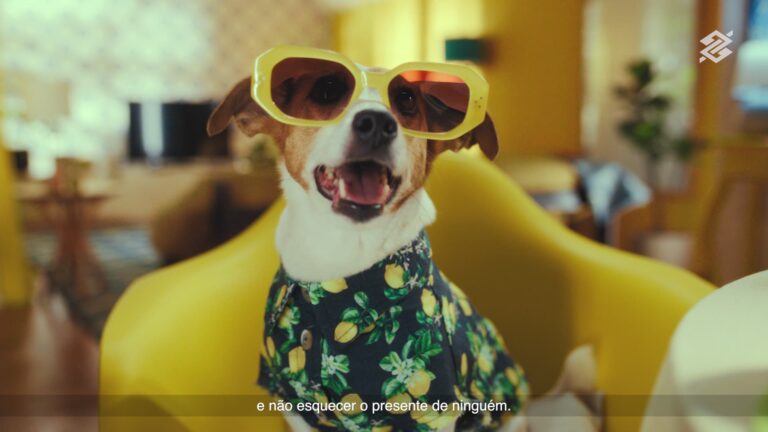 CACHORRINHA AYLA É A MAIS NOVA ESTRELA DA CAMPANHA DE OUROCARD DO BANCO DO BRASIL