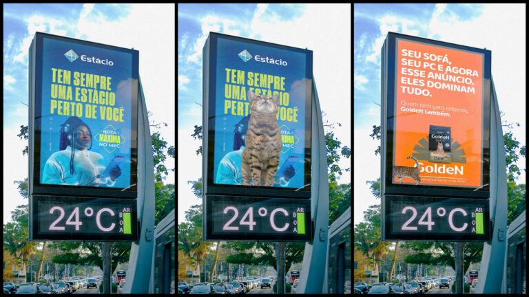 Gatos ‘invadem’ anúncios no Dia Mundial do Gato em campanha de GoldeN