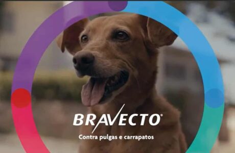 Bravecto campanha
