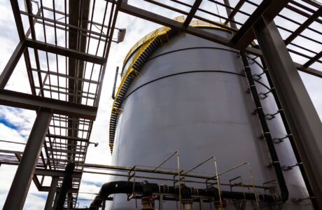 Foto para release – meio ambiente