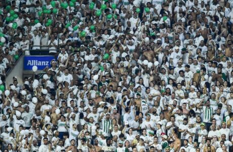 Allianz Parque registrou R$ 241 milhões de receitas no último ano