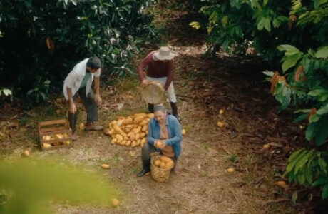 Sebrae lança campanha que destaca papel dos pequenos negócios na preservação ambiental