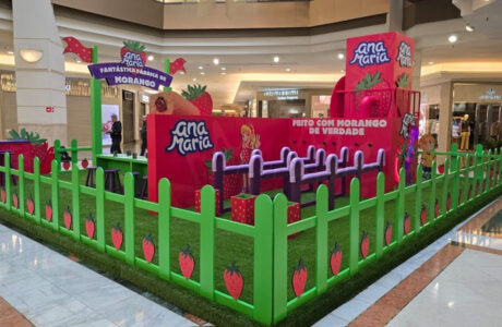 A Fantástica Fábrica de Morango – ana maria bimbo