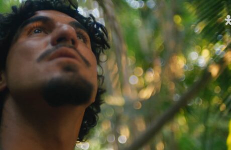 Medina (Amazônia) – Vivo