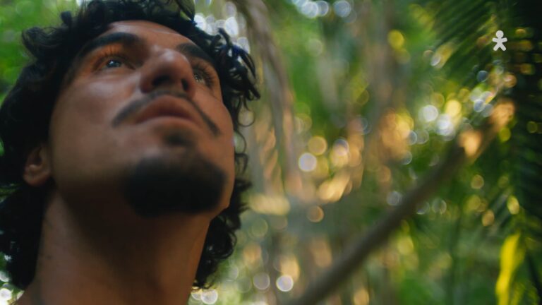 Medina (Amazônia) - Vivo