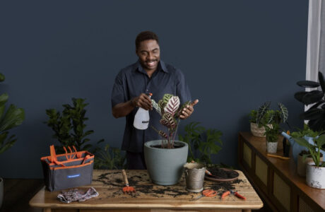 tramontina – lazaro ramos