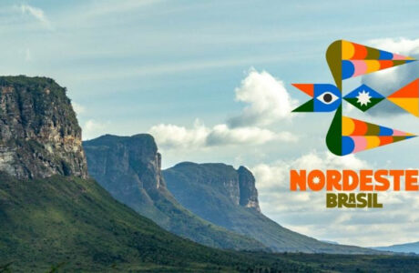 Conheça a nova marca Nordeste