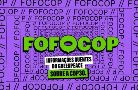 FofoCop_2