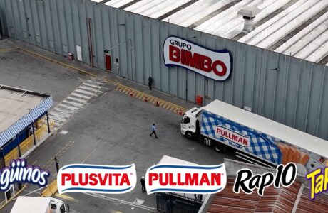 Grupo Bimbo_divulgacao (2)