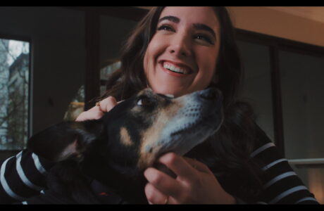 Petlove promove campanha de conscientização para pets de idade avançada