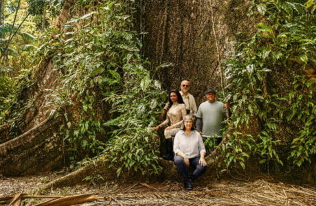Vale destaca papel dos polinizadores na Amazônia em novo filme da série com Gaby Amarantos e Bob Wolfenson