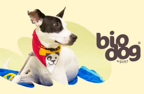 Agência Ecco assina a comunicação digital da Biodog e reforça presença da marca no universo pet