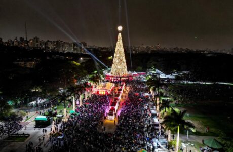 Foto Arvore Coca ColaAKM