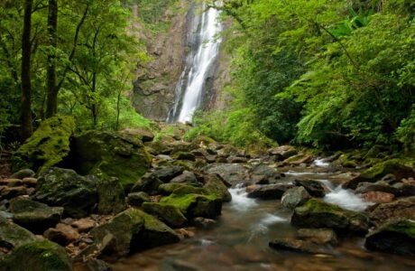 Reserva Natural Salto Morato, localizada em Guaraqueçaba (PR), é uma unidade de conservação criada e mantida pela Fundação Grupo Boticário Foto José Paiva (1)