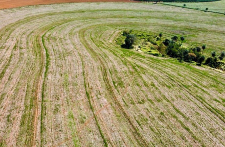 Unilever debate como ampliar a agricultura regenerativa em painel na COP30