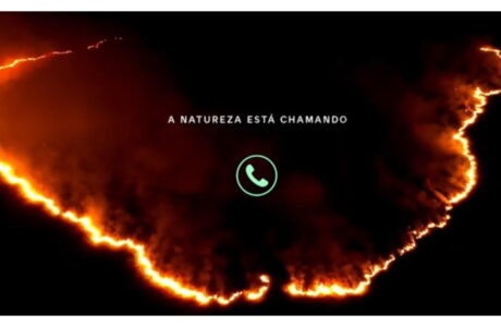 Vivo atende ao chamado da natureza em campanha rumo à COP30