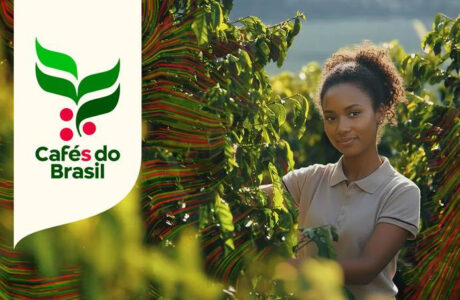 cafes-do-brasil-nova-logo