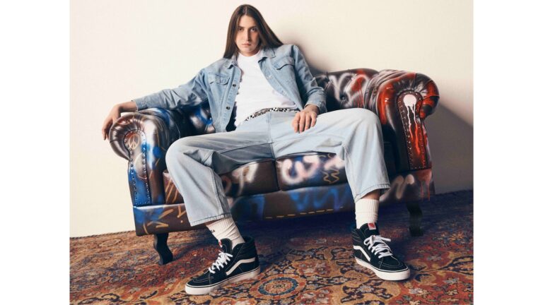 vans-felca