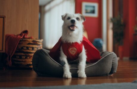 Bradesco apresenta o cãozinho Super Pix em campanha criada pela AlmapBBDO