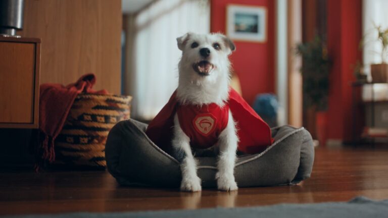 Bradesco apresenta o cãozinho Super Pix em campanha criada pela AlmapBBDO