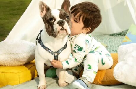 Calçados Bibi lança linha exclusiva para pets