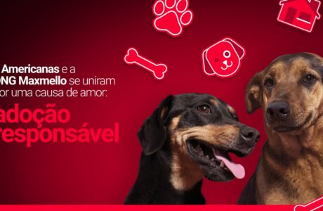 Campanha de adoção de pets – BF 25 – Americanas B (1)