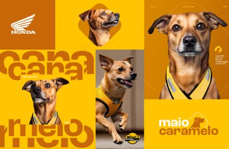 Maio Caramelo Honda (1)