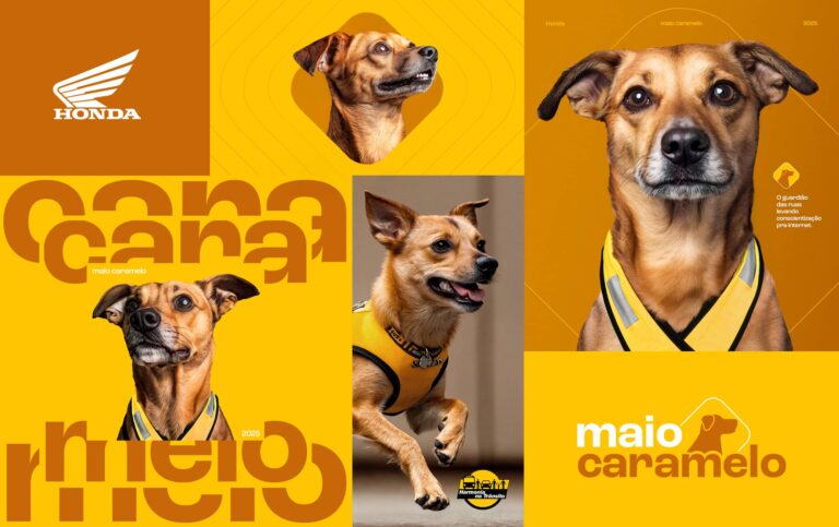 Maio Caramelo Honda (1)