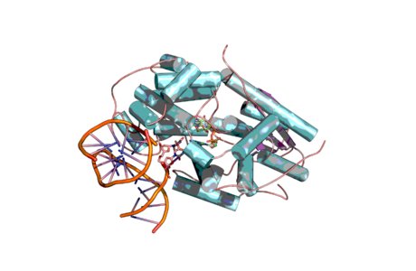 Natura investe em biotecnologia para dermocosméticos de reparação celular avançada