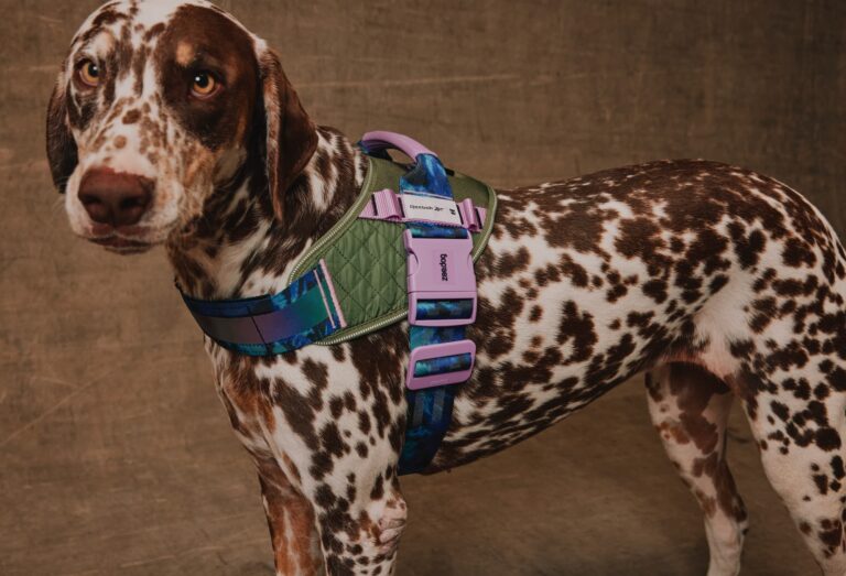 Zee.Dog e Reebok lançam collab global que une performance, design e lifestyle