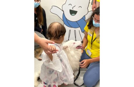 Cães resgatados se tornam terapeutas no GRAACC