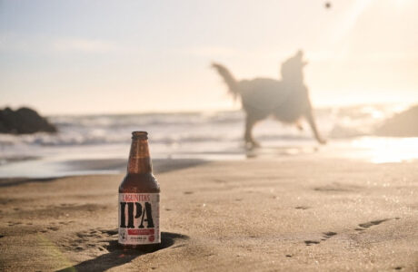 Lagunitas lança loja no TikTok Shop com produtos para pets