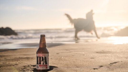 Lagunitas lança loja no TikTok Shop com produtos para pets